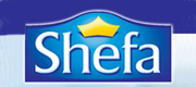 logo32